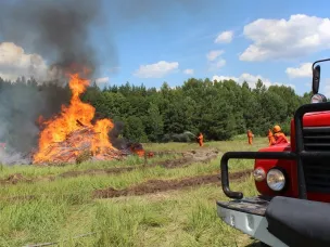 В лесах Нижегородской области с 17 апреля объявлен пожароопасный сезон